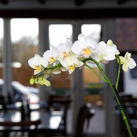 The Maple Manor Hotel Crawley  Extérieur photo