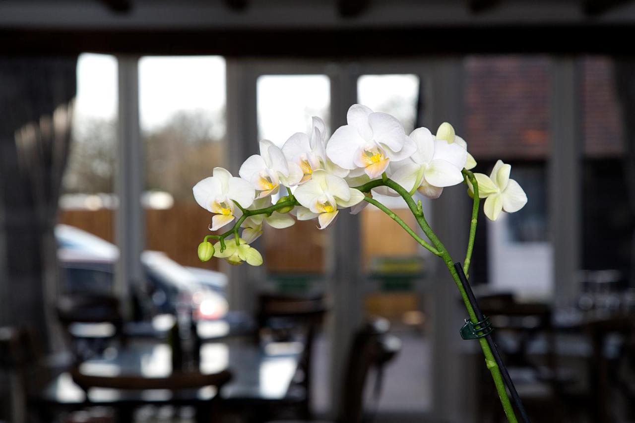 The Maple Manor Hotel Crawley  Extérieur photo